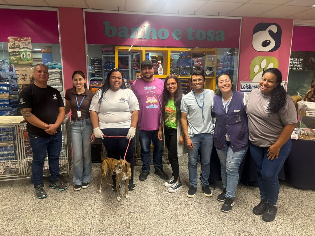 Feira de adoção em Araçatuba encontra novos lares para 11 pets resgatados - Feira de adoção do CCZ de Araçatuba é marcada por sucesso e novas famílias para os pets Feira de adoção em Araçatuba encontra novos lares para 11 pets resgatados - Feira de adoção do CCZ de Araçatuba é marcada por sucesso e novas famílias para os pets