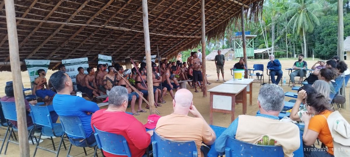 Tecnologias da Embrapa contribuem para a segurança alimentar de povos da Terra Indígena Yanomami