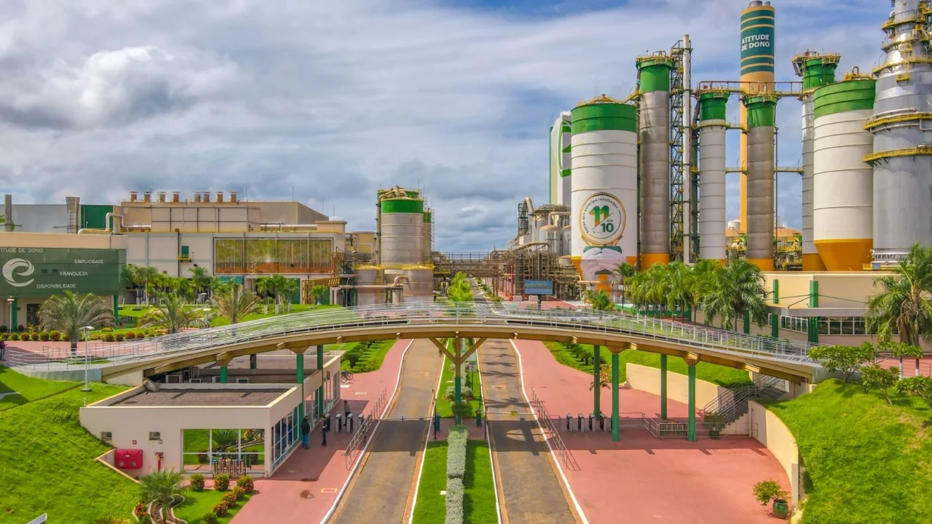 Eldorado Celulose: O Plano de R$ 25 Bilhões para Liderar o “Vale da Celulose” em 2026