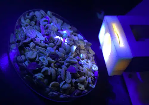 Nova tecnologia da USP promete revolucionar a análise de qualidade do café com uso de sensores e luz controlada