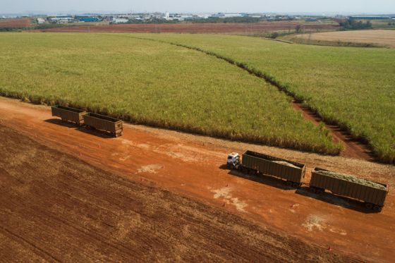 Raízen promove excelência operacional com programas de reconhecimento no transporte e colheita de cana