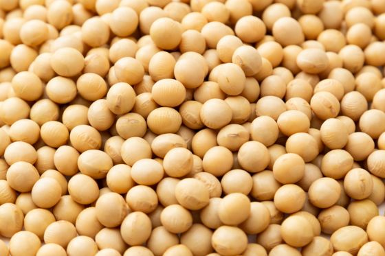 Aberturas de mercado para o Brasil no México e nas Filipinas