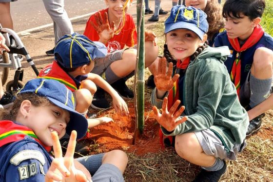 Secretaria de Meio Ambiente e Sustentabilidade de Araçatuba promove plantio de árvores nativas