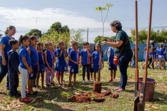 Três Lagoas recebe selo internacional e entra para o grupo das “Cidades Árvore do Mundo”