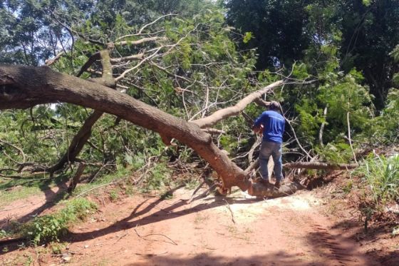 Almoxarifado intensifica trabalhos para recuperar danos causados pelas chuvas