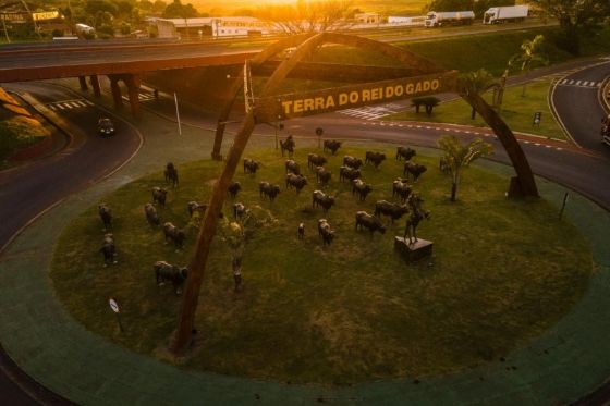 Andradina concorre ao Prêmio Sebrae de Inovação com projetos em Turismo e Empreendedorismo Rural