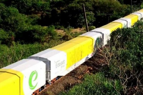 ANTT autoriza Eldorado a desapropriar áreas para novo ramal ferroviário em Mato Grosso do Sul