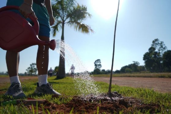 Araçatuba Mais Verde transforma paisagem urbana com plantio coletivo de árvores e engajamento social