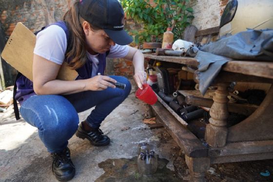 Secretaria Municipal de Saúde de Araçatuba registra 28 casos positivos de chikungunya em cinco meses