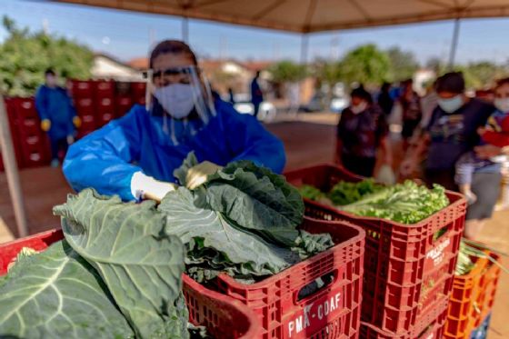 Araçatuba inicia entregas do Programa de Aquisição de Alimentos a entidades cadastradas