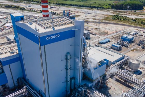 Arauco avalia escoar 3,5 milhões de toneladas de celulose pela hidrovia Paraná-Tietê
