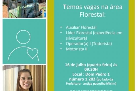 Arauco promove seleção presencial para vagas na área florestal em Mirandópolis