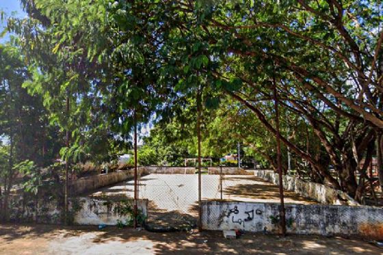 Árvore será retirada em revitalização de praça no Claudionor Cinti; outras cinco serão plantadas como compensação