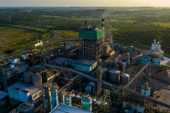 Bracell Bahia tem certificação Kosher e Halal; entenda a importância delas