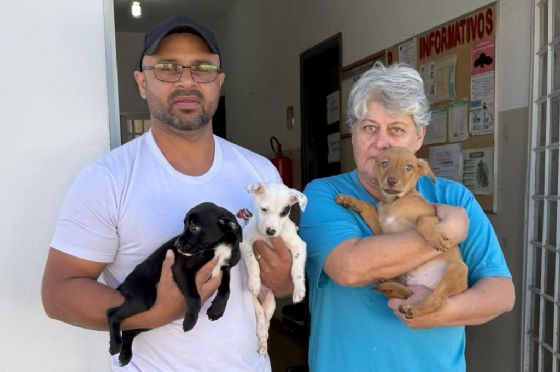 CCZ de Araçatuba disponibiliza cães e gatos para adoção responsável