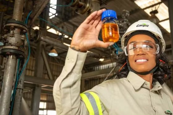 Oportunidades em Três Lagoas: Cargill, Suzano e Metalfrio abrem vagas de estágio e aprendizagem