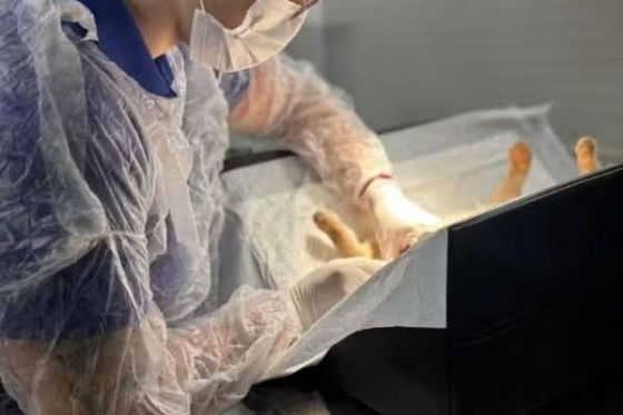 Castramóvel estará no Timboré amanhã (10)