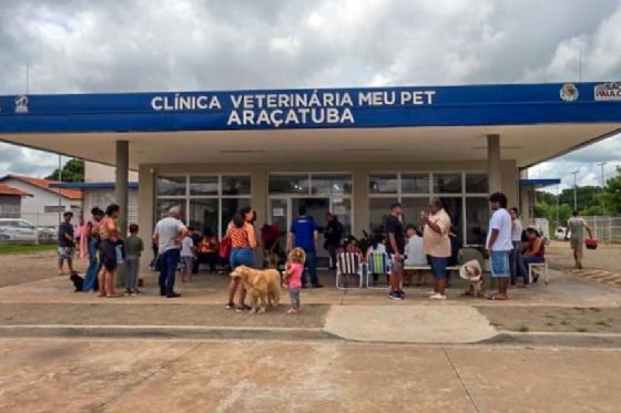 Clínica Meu Pet reorganiza agendamento de consultas para ampliar conforto dos tutores