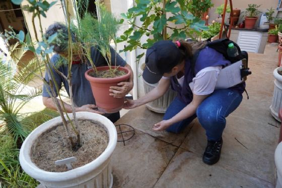 Com 80% dos criadouros do Aedes aegypti dentro das casas, Secretaria Municipal de Saúde de Araçatuba reforça cuidados preventivos