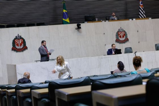 Combate e prevenção à violência contra mulher são temas de Sessão Ordinária da Alesp; assista