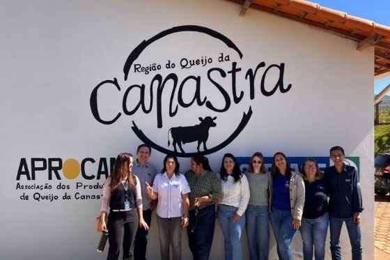 Queijo Canastra inspira Araçatuba a fortalecer turismo rural e cadeia do leite