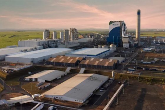 Bracell Abre Vagas para Manutenção Automotiva e Setor Florestal em São Paulo