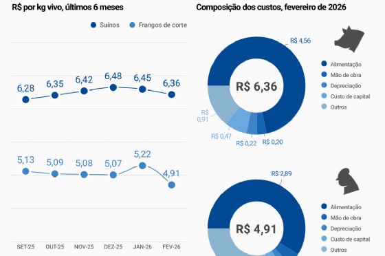 Custos de produção de suínos caem e frango de corte se mantém estável em fevereiro