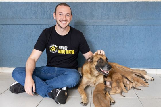 Deputado quer tornar obrigatório monitoramento em petshops, clínicas e creches para animais