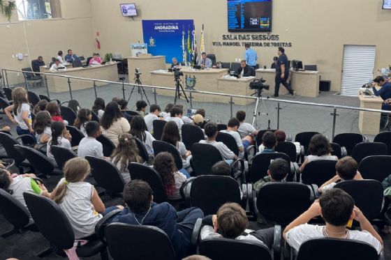 Legislativo de Andradina delibera sobre proteção à mulher e inclusão social nesta segunda-feira