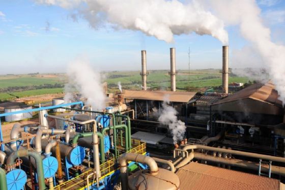 Clealco promove "Dia D" em Luiziânia com vagas para o setor agrícola e cursos gratuitos