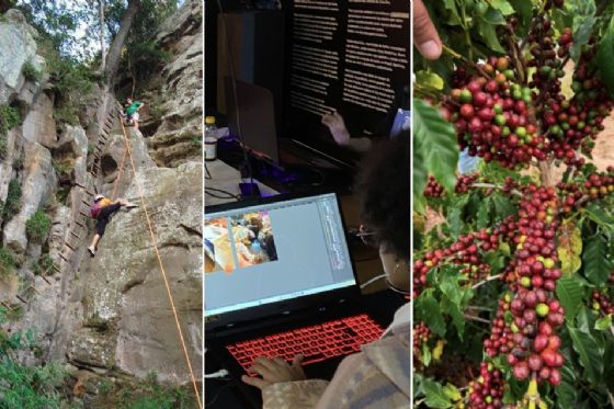 Do café aos jogos eletrônicos, SP Produz fortalece e diversifica cadeias produtivas da região de Campinas