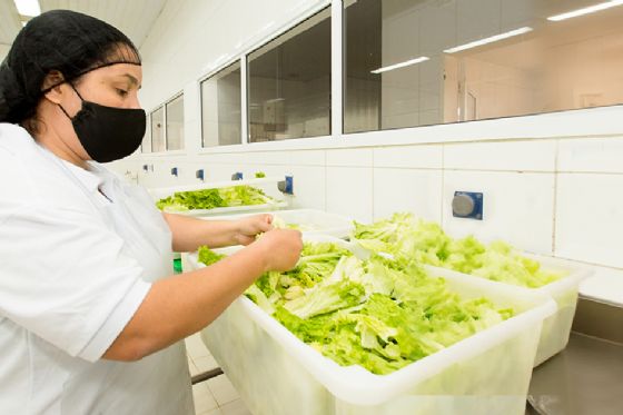 Doenças transmitidas por alimentos estão ligadas a práticas domésticas, mostra estudo