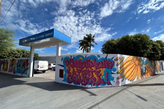 Escolas municipais de Andradina ganham cores e grafites de Tizzy para volta às aulas