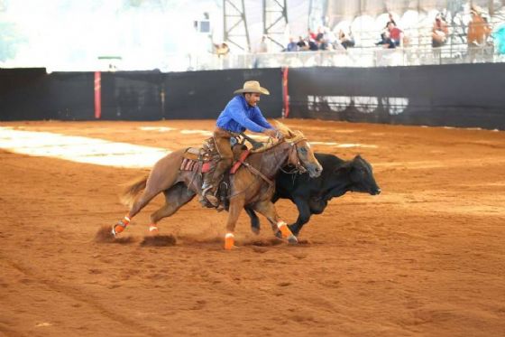Eventos da ABQM movimentam R$ 55 milhões e lotam hotéis em Araçatuba