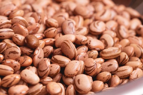 Feijão "carioca" completa 60 anos; veja origem do nome e do grão no estado de SP