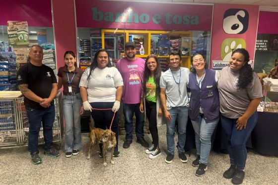 Feira de adoção em Araçatuba encontra novos lares para 11 pets resgatados