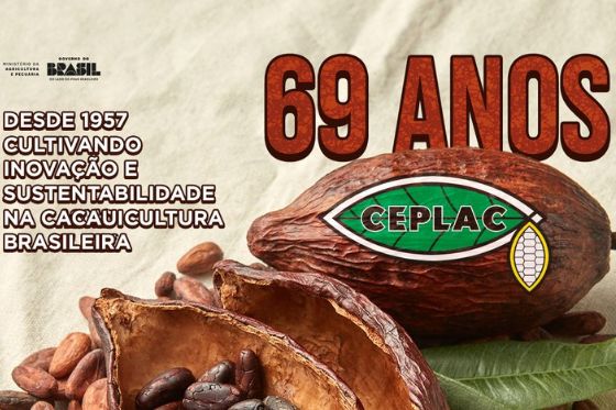 Há 69 anos, Ceplac fortalece a produção de cacau no Brasil