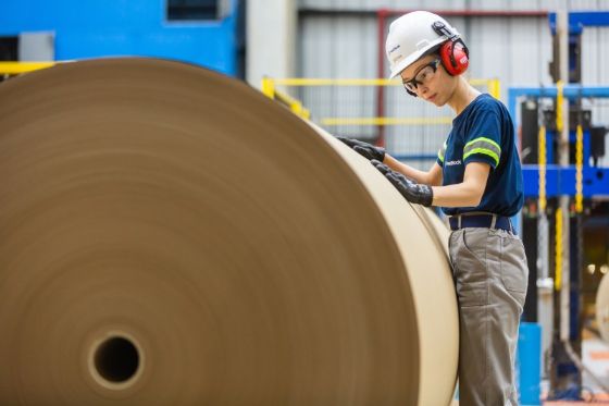 Smurfit Westrock abre inscrições para Jovem Aprendiz em Araçatuba; veja como participar