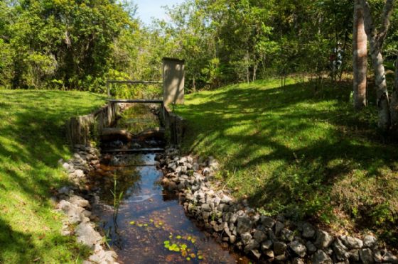 Iniciado em Aracruz há mais de três décadas, Projeto Microbacias impulsiona metas de água da Suzano