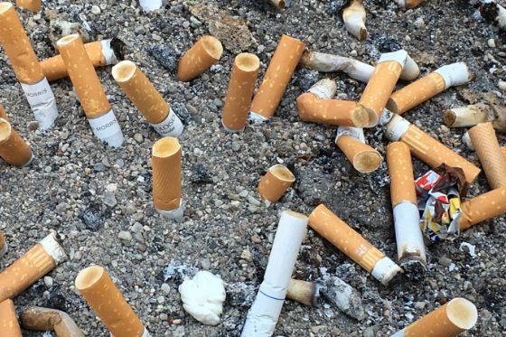 Lixo mais comum do planeta, 4,5 trilhões de bitucas de cigarro são lançadas por ano no mundo