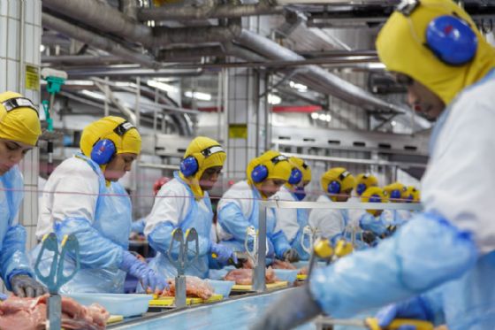 MBRF apresenta receita líquida recorde de R$ 164 bilhões e 8,2 milhões de toneladas em 2025