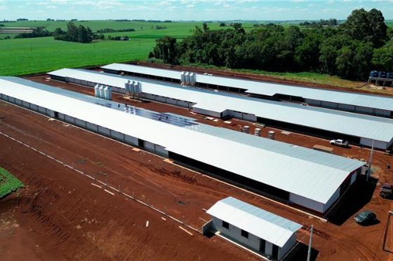 MBRF e Governo do Paraná anunciam investimento de R$ 375 milhões para fortalecer produção de alimentos no estado