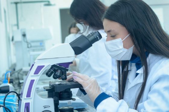 Medicamento para osteoporose mostra potencial contra doenças causadas por excesso de ferro