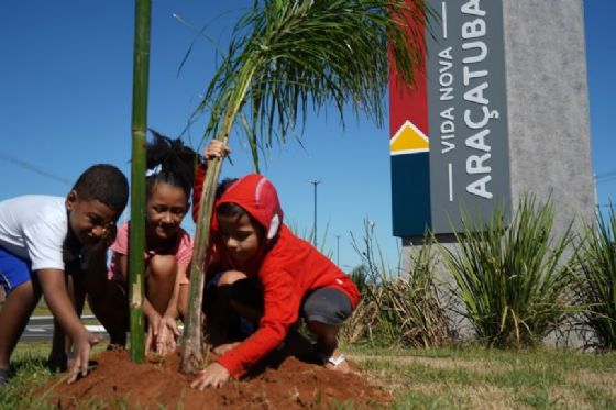 Meio Ambiente de Araçatuba replanta árvores danificadas em ato de vandalismo