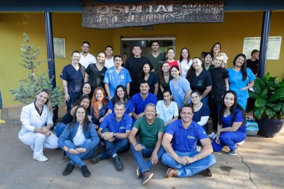 Andradina realiza 3º Mutirão de Castração e Chipagem e atende 100 gatos