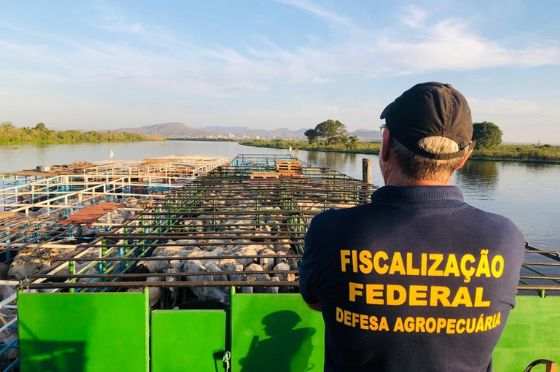 Nova lei amplia adicional de fronteira e reforça atuação da defesa agropecuária nas regiões estratégicas do país