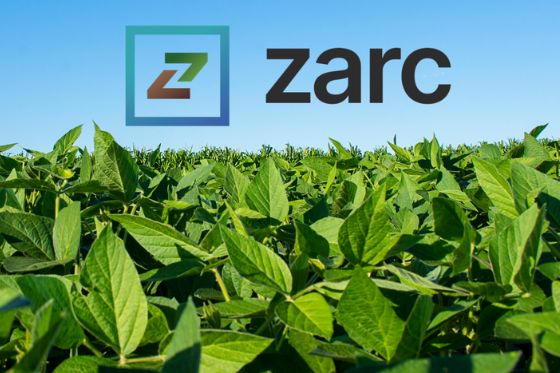 Novo painel do Zarc moderniza consulta às janelas de plantio e reforça gestão de riscos na agricultura