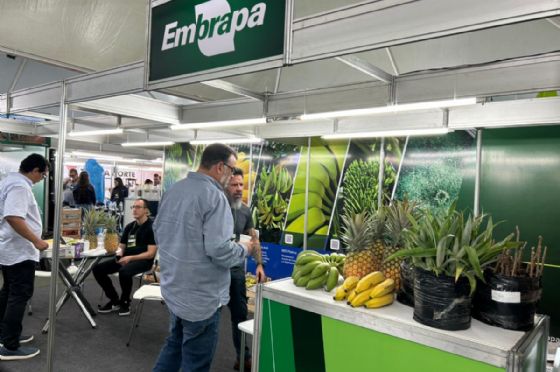 Embrapa marca presença no Fruit Connections 2026