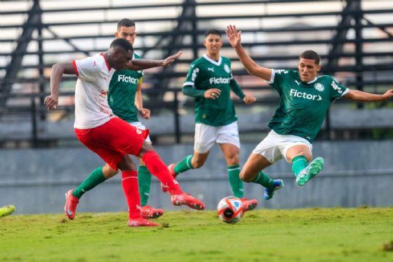 Onde assistir RB Bragantino Sub20 x Palmeiras Sub20 e o que esperar do confronto