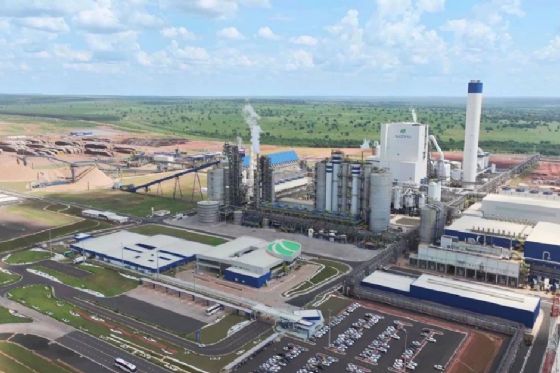 Vagas Suzano MS 2026: Empresa abre inscrições em Três Lagoas, Ribas e Brasilândia